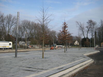 Die neuen Bäume am Busbahnhof in Buer